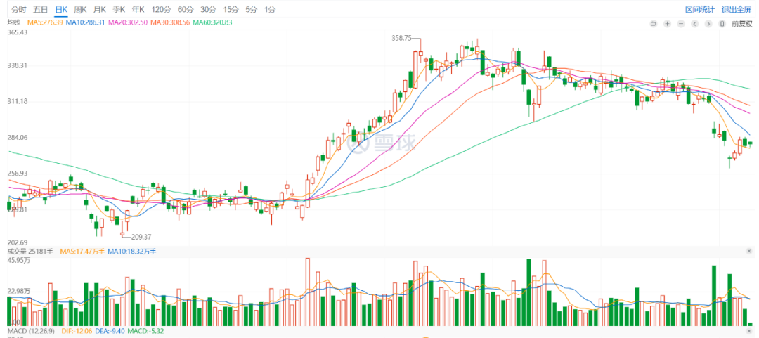 BYD Daily K-line Chart